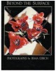 Beyond the Surface: Photographs by Irma Eibich
