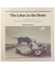 The Lotus in the Stone: An allegory for explorations in dreams & consciousness