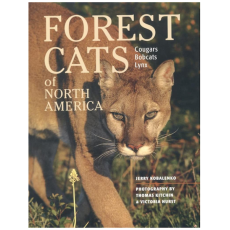 Forest Cats of North America