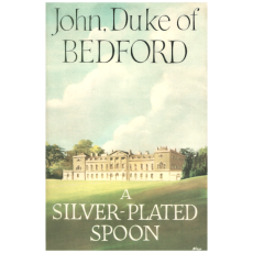 A Silver-Plated Spoon