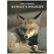 Discovering Kuwait's Wildlife
